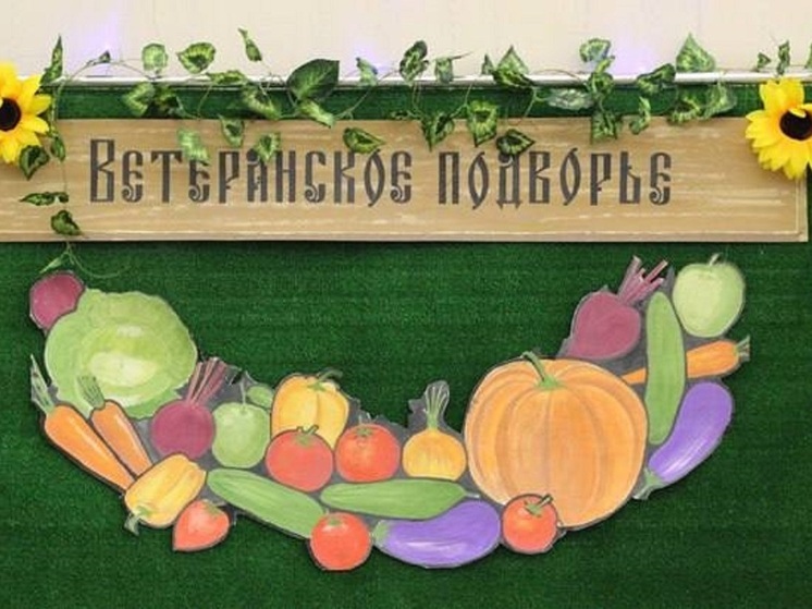 Конкурс «Ветеранское подворье – 2025» начался в Струго-Красненском округе