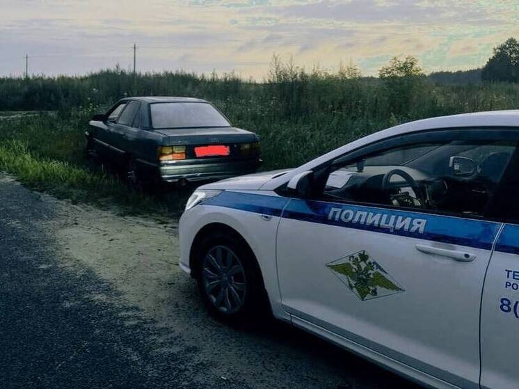 В Брянской области задержали пьяного 17-летнего водителя