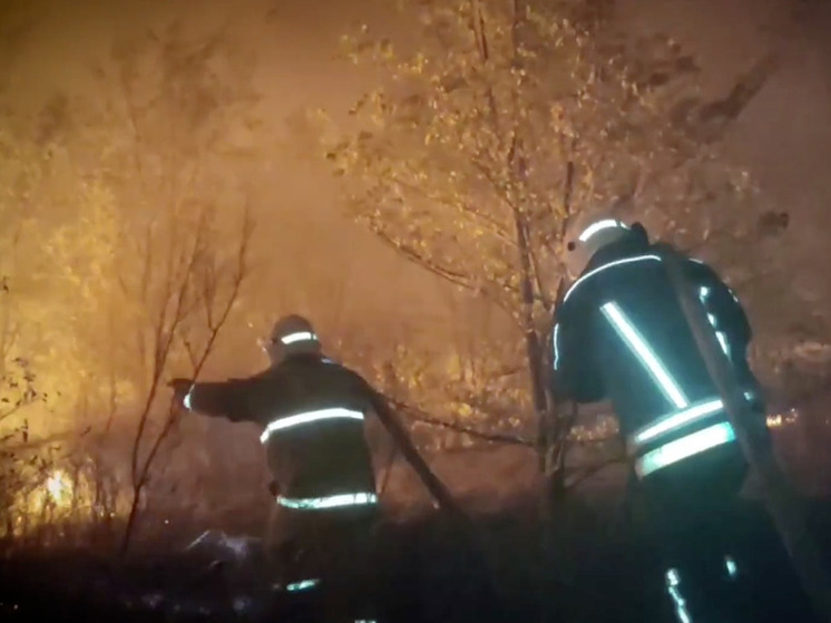 Спасение природных экосистем ЛНР: оперативные действия по ликвидации лесных пожаров