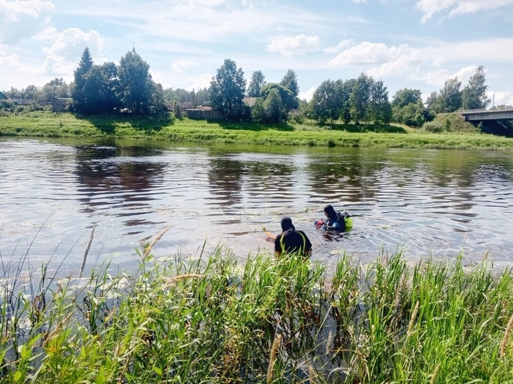 В Новгородской области нашли тело одного из трех пропавших в водоемах мужчин
