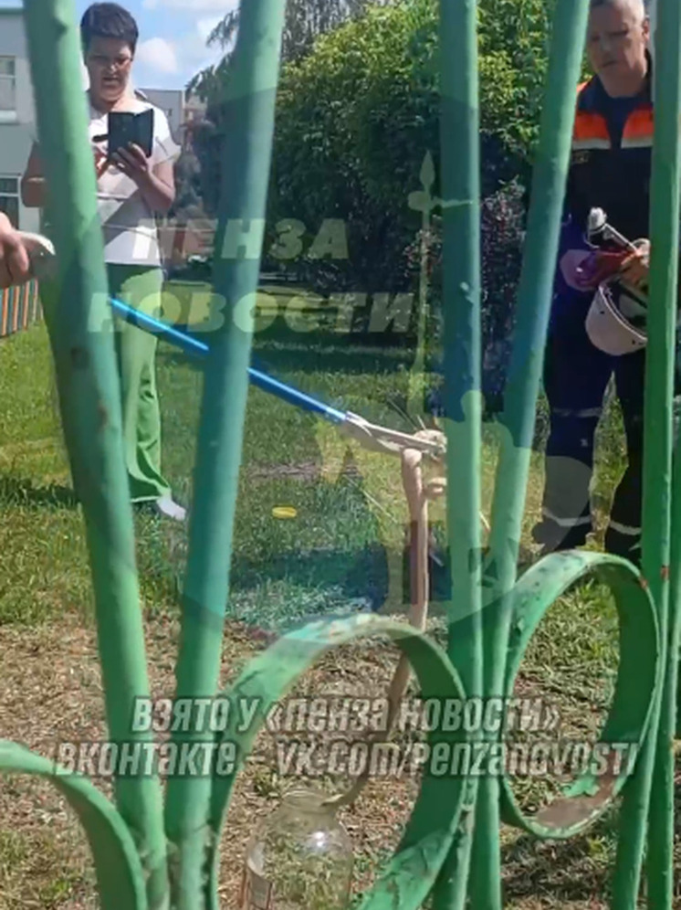 Возле детского сада в Пензе поймали змею