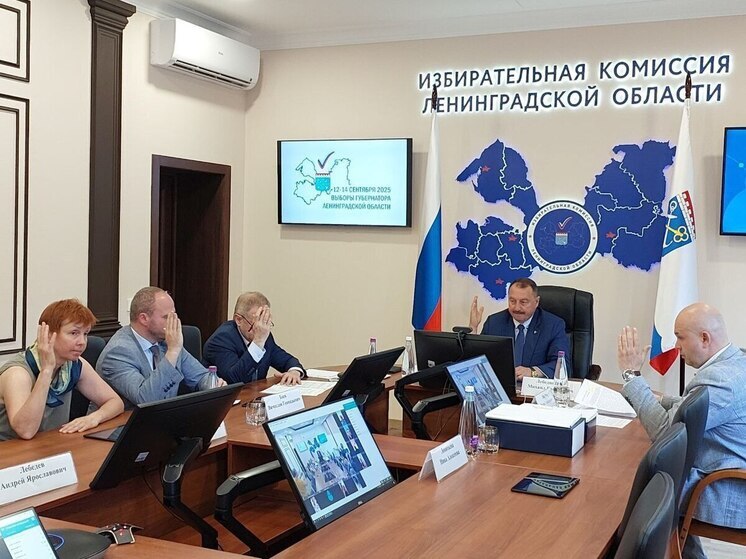 Два кандидата допущены к выборам губернатора Ленинградской области