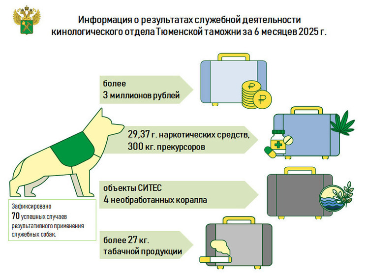 Служебные собаки Тюменской таможни обнаружили более трех миллионов рублей