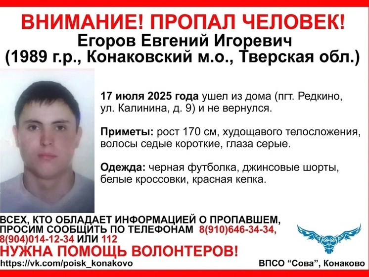 Мужчина пропал в Тверской области: его ищут волонтеры "Совы"