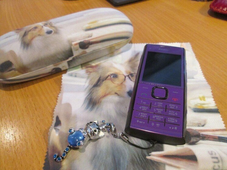 Шесть лет колонии светит жительнице Хакасии за слив личных данных третьим лицам