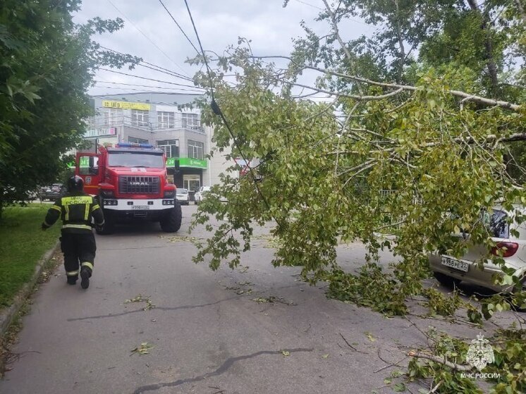 Около 50 спасателей ликвидировали последствия урагана в Хабаровске