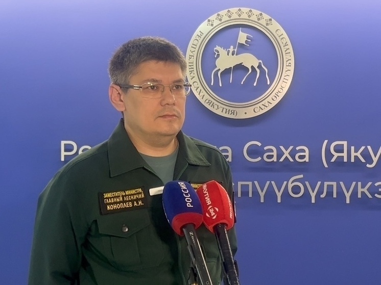 С начала пожароопасного сезона в Якутии ликвидировано 377 пожаров