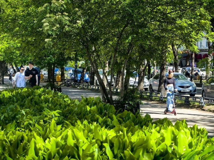 Синоптики Хакасии пообещали прохладу и ветер