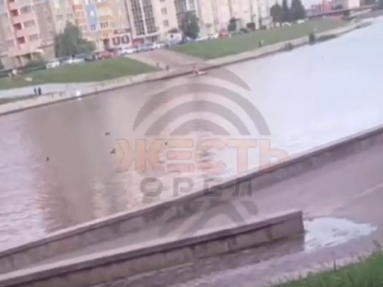 В Орле зловонная жижа стекает из парка через пляж в Оку