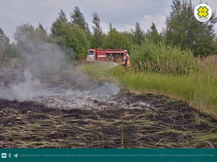 Пожар у леса в Алатырском округе удалось остановить в 20 метрах от массива