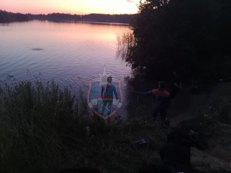 В карьере во Всеволожском районе утонул 13-летний мальчик