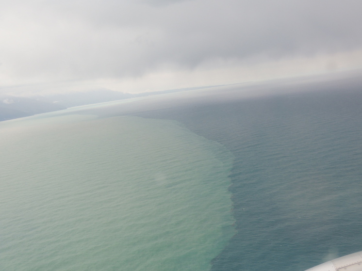 «Уральские авиалинии» запускают рейсы из Екатеринбурга в Геленджик