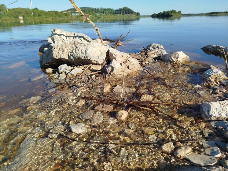 Реки Молога и Ловать унесли жизни двух человек в Новгородской области