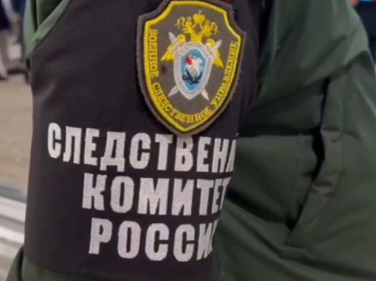 Бастрыкин потребовал доложить о мигранте, преследовавшем женщину с ребенком