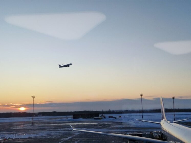 Никто не выжил при падении самолета Ан-24 в Приамурье
