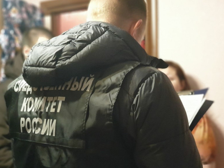 В Снежногорске осудят главу запрещенной организации за продолжение ее работы