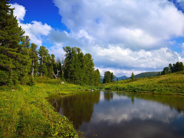 Тело утонувшего мужчины найдено в реке Ронга