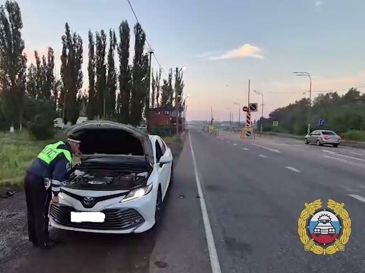 В Волгоградской области задержали мужчину с фальшивыми документами на автомобиль