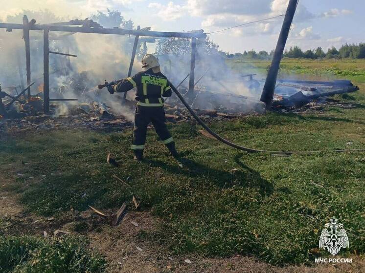 В деревне в Тверской области предотвратили взрыв газовых баллонов во время пожара