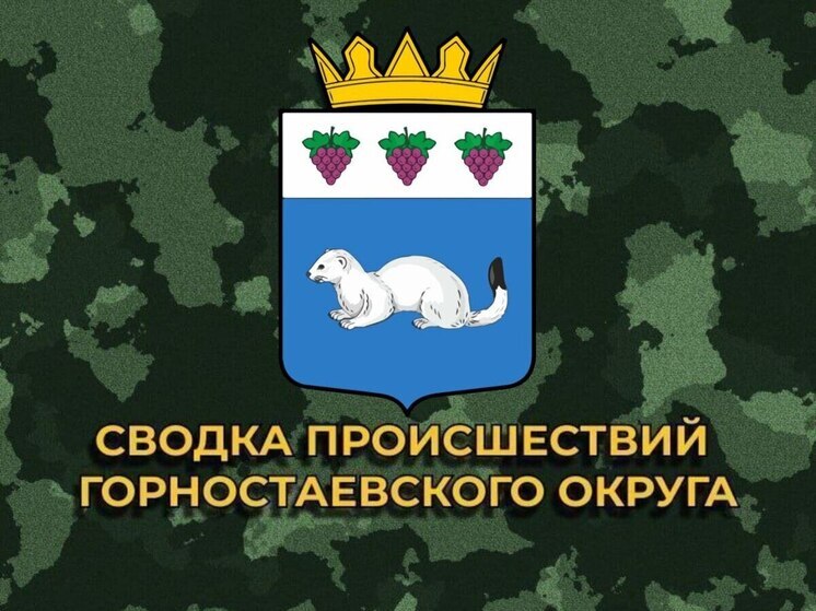 За сутки ВСУ 42 раза обстреляли Горностаевский округ Херсонщины