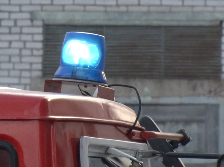На пожаре в многоэтажке в Мурино пострадал матрас