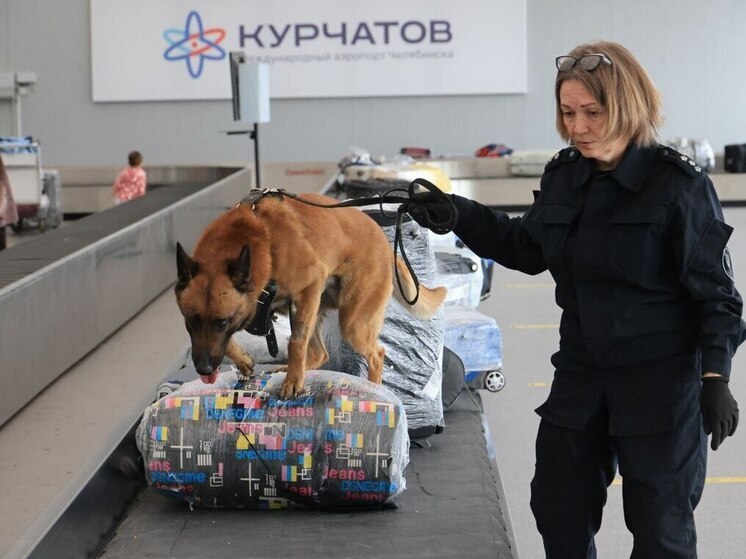 Подарок жене привел к штрафу для пассажира в челябинском аэропорту