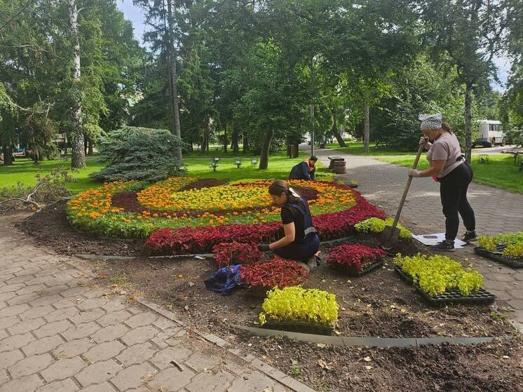 В Омске начали высаживать цветы к «Флоре»