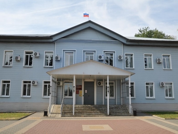 В Грязях осужден местный житель за незаконную продажу пневматического оружия