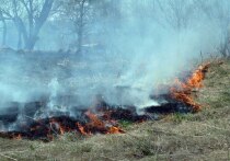 Два человека погибли, сотни были эвакуированы в результате мощного лесного пожара, охватившего южный Кипр