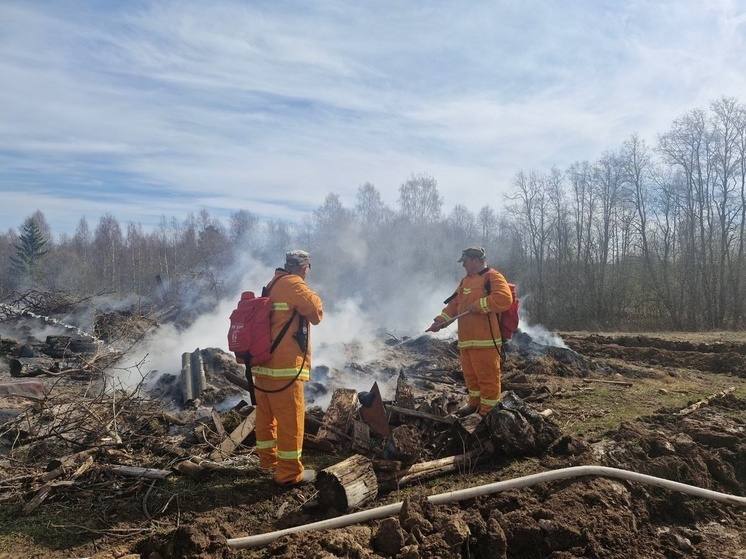Нацпарки Архангельской области ввели ограничения на посещение лесов