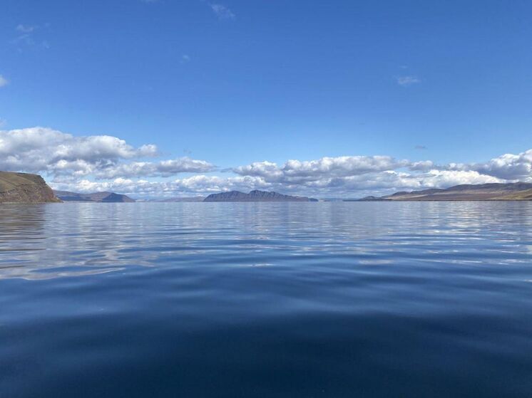 Юных художников из ЛНР и ДНР приглашают участвовать в конкурсе «Реке Енисей — чистые берега»