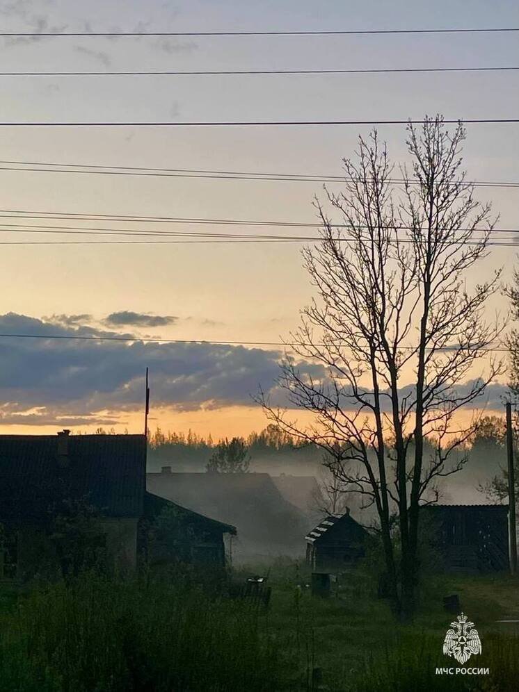 Ночной туман решил не уходить из Пскова
