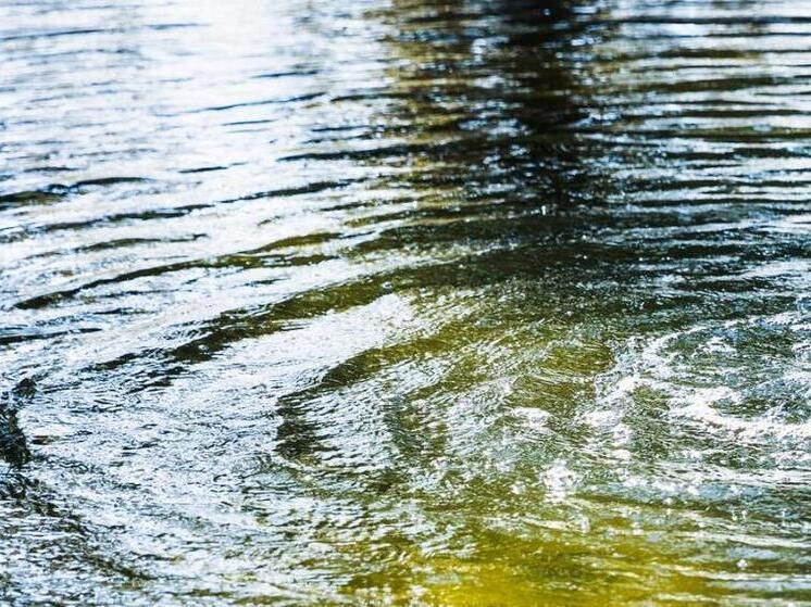 Река Ронга в Марий Эл унесла еще одну жизнь