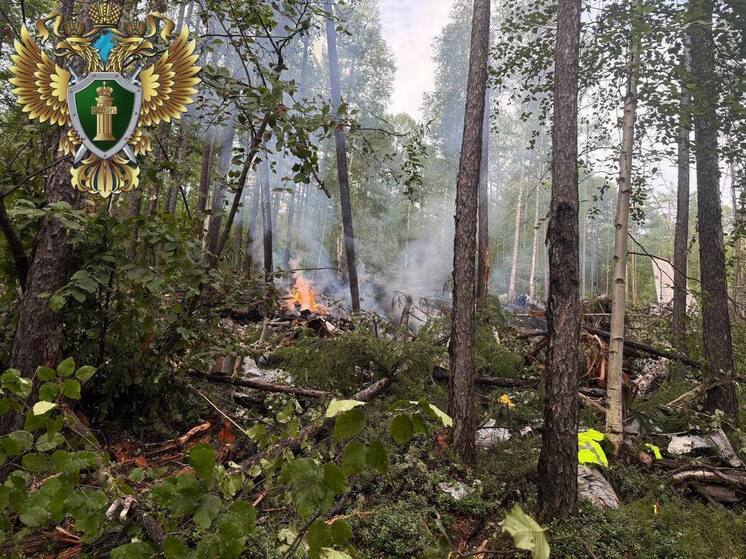 Игорь Руденя выразил соболезнования в связи с крушением самолета в Амурской области