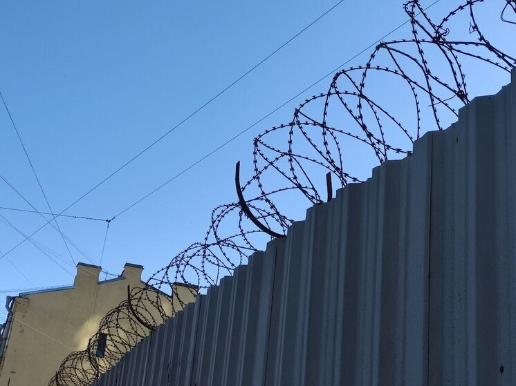 Устроившего стрельбу в Петербурге у ТЦ «Сити Молл» лишили свободы на два года