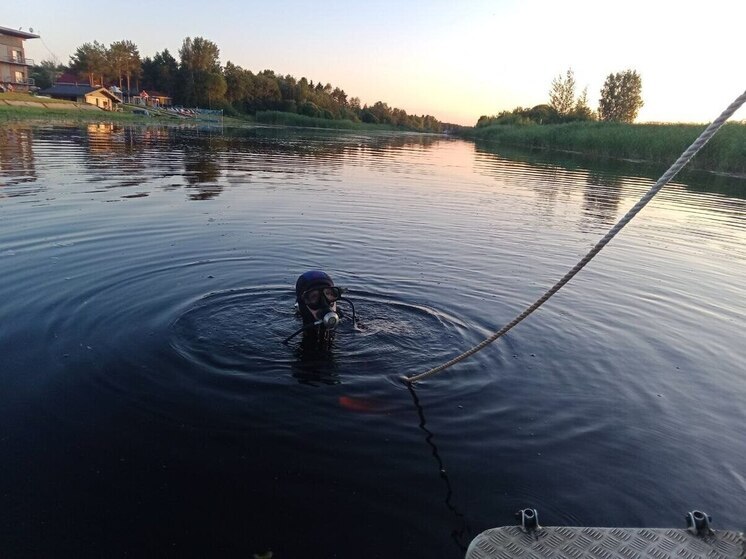 Спасатели извлекли из воды тела двух мужчин, утонувших в водоемах Ленобласти