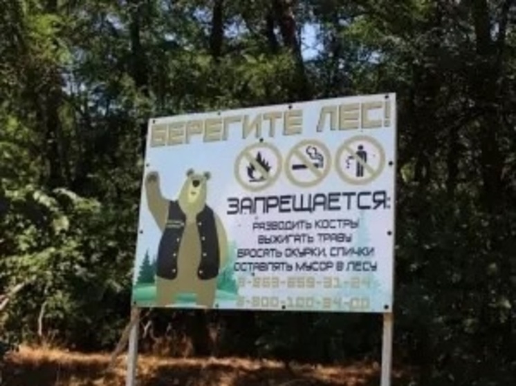  В Ростове  планируют выделить 1,2 миллиона рублей на очистку городских лесных зон