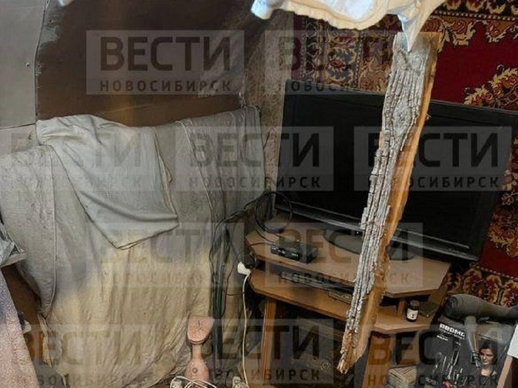 Ветка пробила крышу одного из жилых домов в Новосибирске