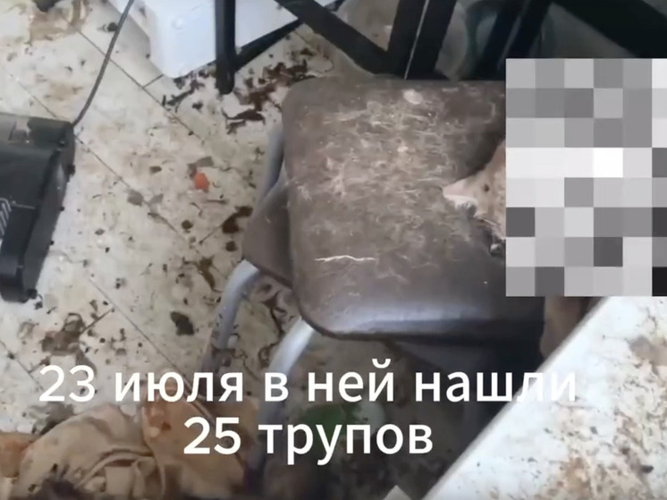 По факту "кошачьего концлагеря" в тверской квартире возбуждено уголовное дело