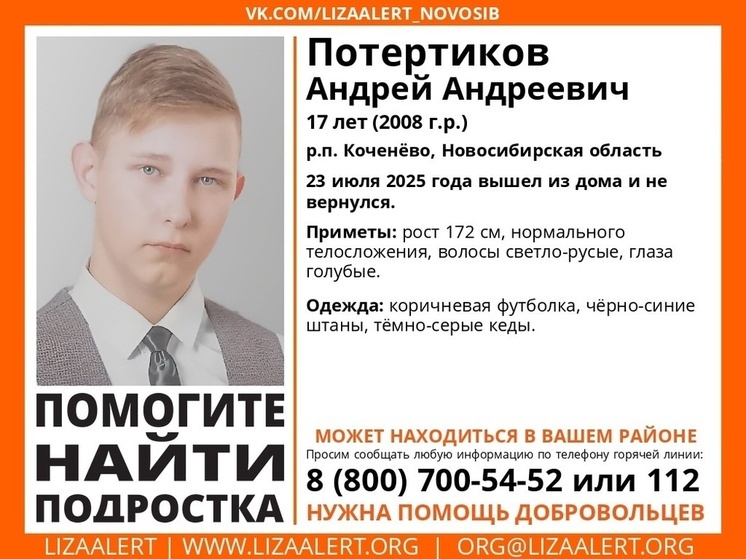 В Новосибирской области ищут 17-летнего подростка