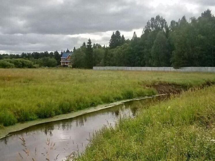 Жители Слободского района снова могут свободно посещать реку Никулинка