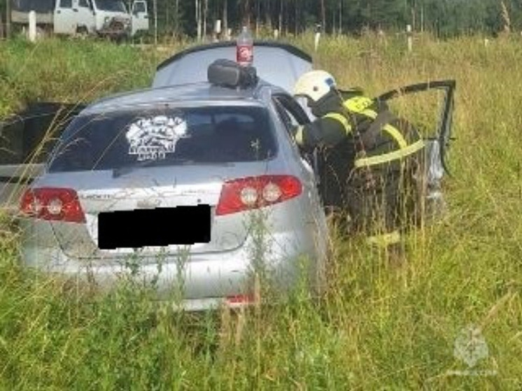 Под Износками пенсионерку с трассы увезли с переломом рёбер