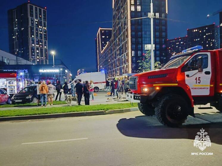 Сотрудники МЧС ликвидировали два пожара в точках общепита Новосибирска