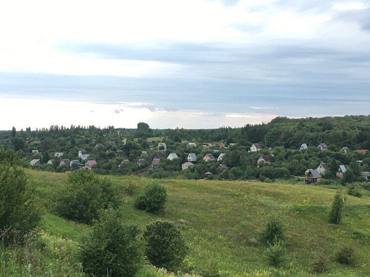 Украинские БПЛА пытались атаковать два района Воронежской области