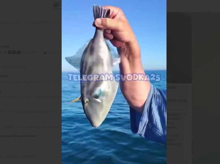 В бухте Анна рыбак наткнулся на необычный улов, характерный для тропических широт