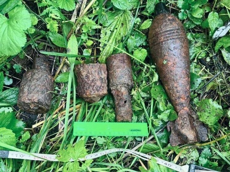 Три гранаты и мину нашел грибник в лесу под Можайском