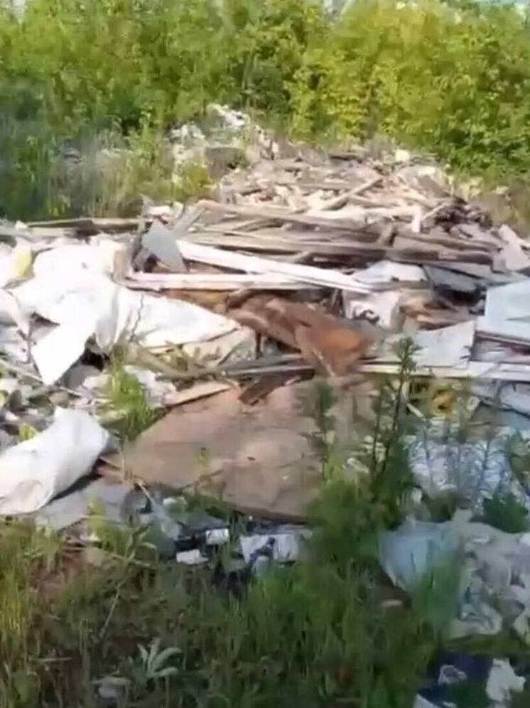Самарца оштрафовали за сброс строительного мусора в лесополосе на 10 тыс. рублей