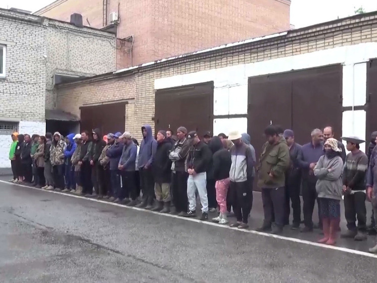 Полсотни нелегалов выявили силовики при проверке агрокомплекса в Подмосковье
