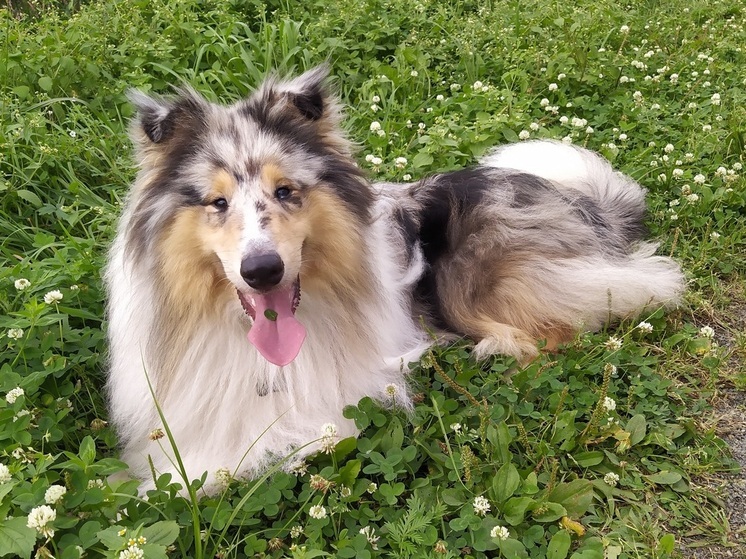 Владивосток побил температурный рекорд 2018 года: жара достигла отметки +32,6 °C