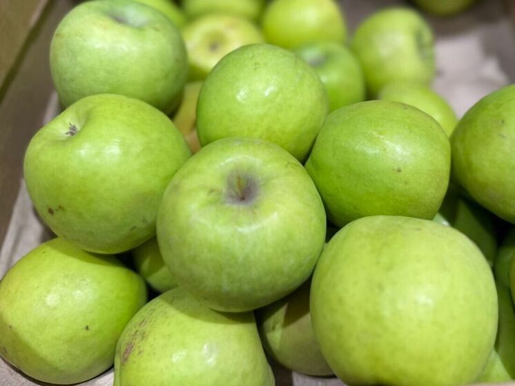 В Карачаево-Черкесии дан старт новому масштабному инвестиционному проекту по развитию садоводства